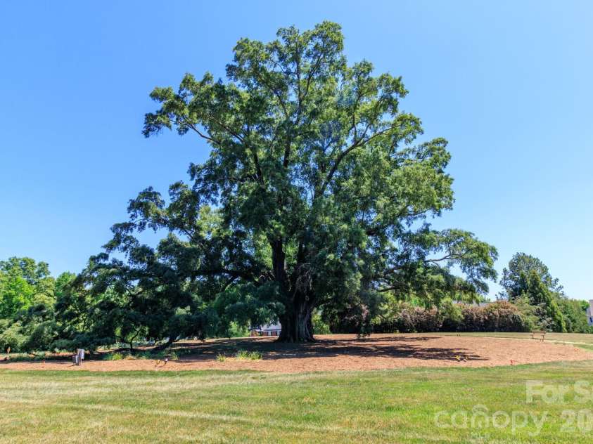 10011 King George Lane, Waxhaw, NC 28173.  MLS# CAR4371603, YatesRealty ID 18670. 