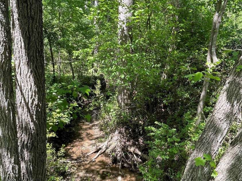 2031 Redskin Trail, Iron Station, NC 28080.  MLS# CAR4376461, YatesRealty ID 18686. 