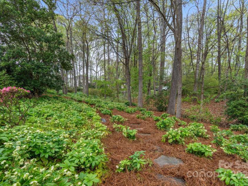5125 Winding Brook Road, Charlotte, NC 28226.  MLS# CAR4241035, YatesRealty ID 18729. Lush, mature landscaping
