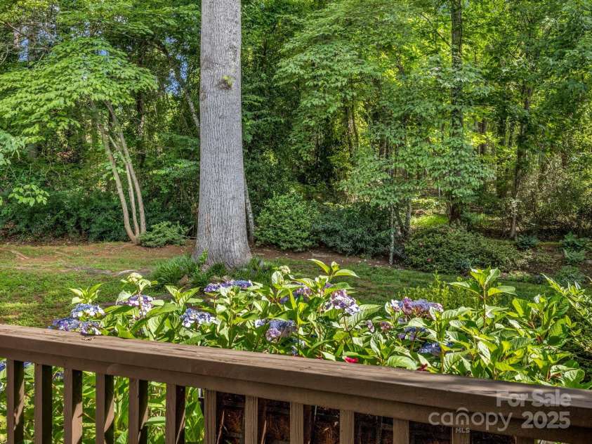 8 Hunting Country Trail, Tryon, NC 28782.  MLS# CAR4244551, YatesRealty ID 18739. Native shrubs shape the landscape