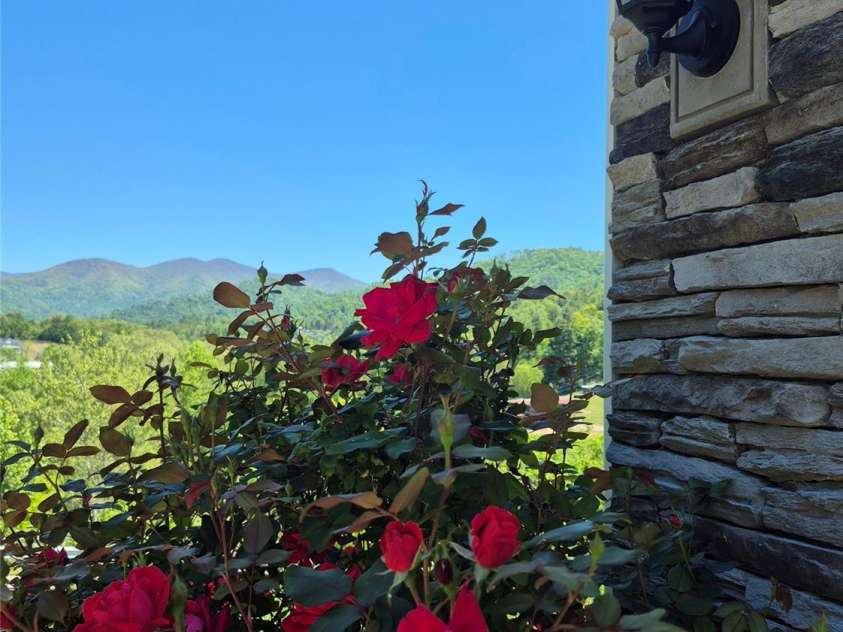141 Amblers Knoll Road, Weaverville, NC 28787.  MLS# CAR4367667, YatesRealty ID 18758. Red roses, too!
