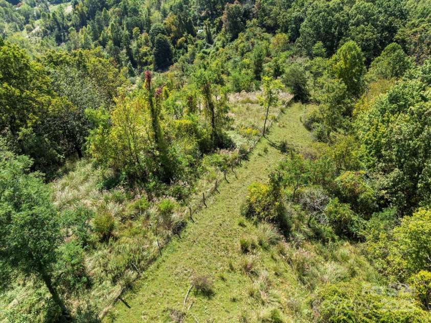 1623 Ammons Branch Road, Marshall, NC 28753.  MLS# CAR4307032, YatesRealty ID 1877. A rough road/trail follows the fence line