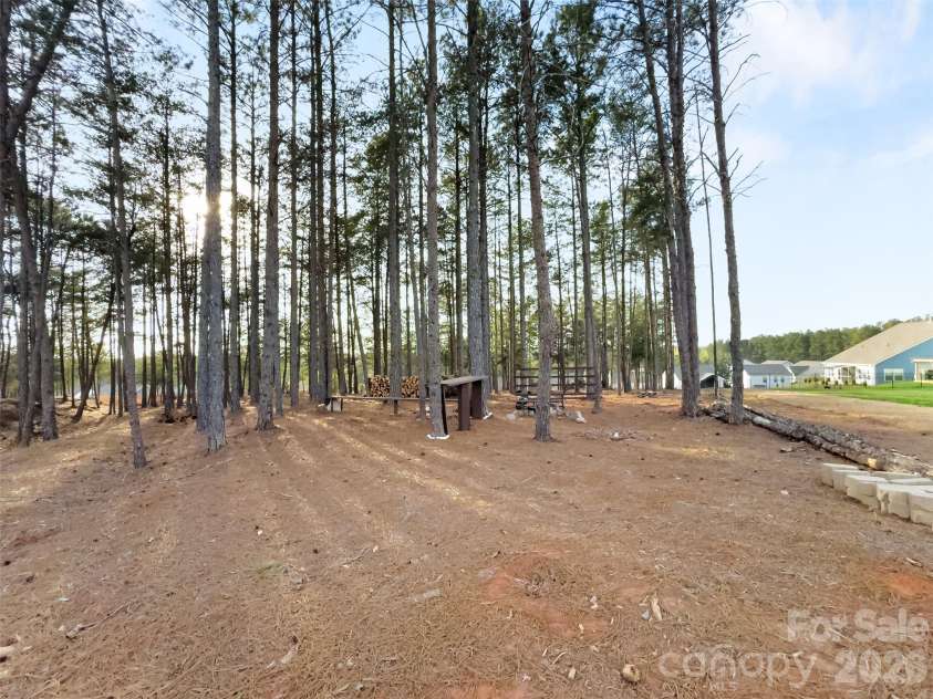 24089 Sailfish Drive, Lancaster, SC 29720.  MLS# CAR4357005, YatesRealty ID 18835. Canopy of trees