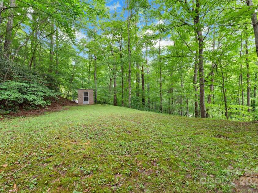 137 Flynn Branch Road, Asheville, NC 28804.  MLS# CAR4258132, YatesRealty ID 18863. Back Yard