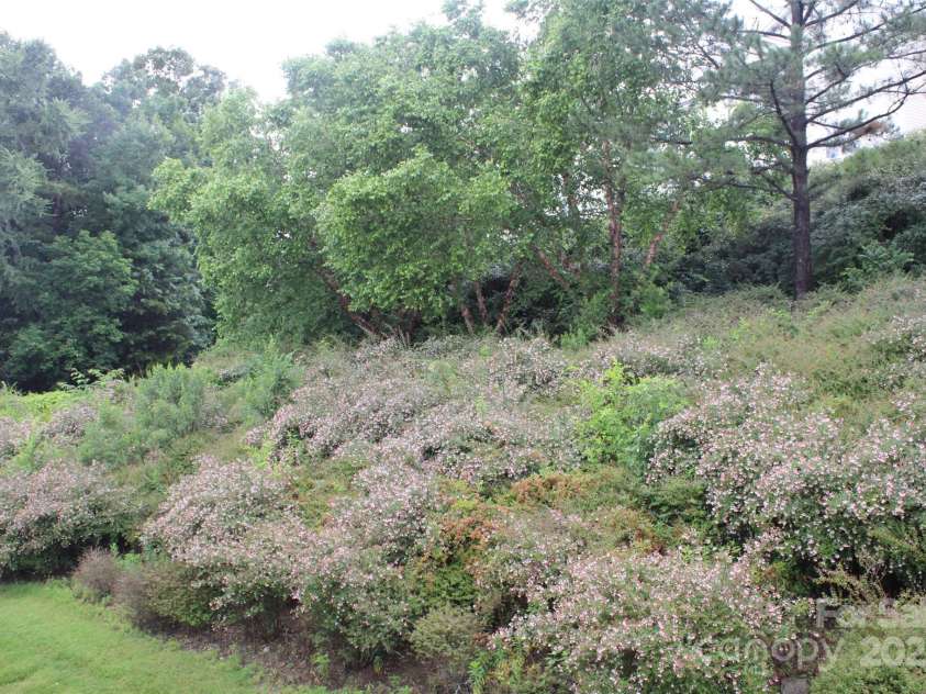 9823 Hyde Glen Court, Charlotte, NC 28262.  MLS# CAR4268137, YatesRealty ID 18866. 