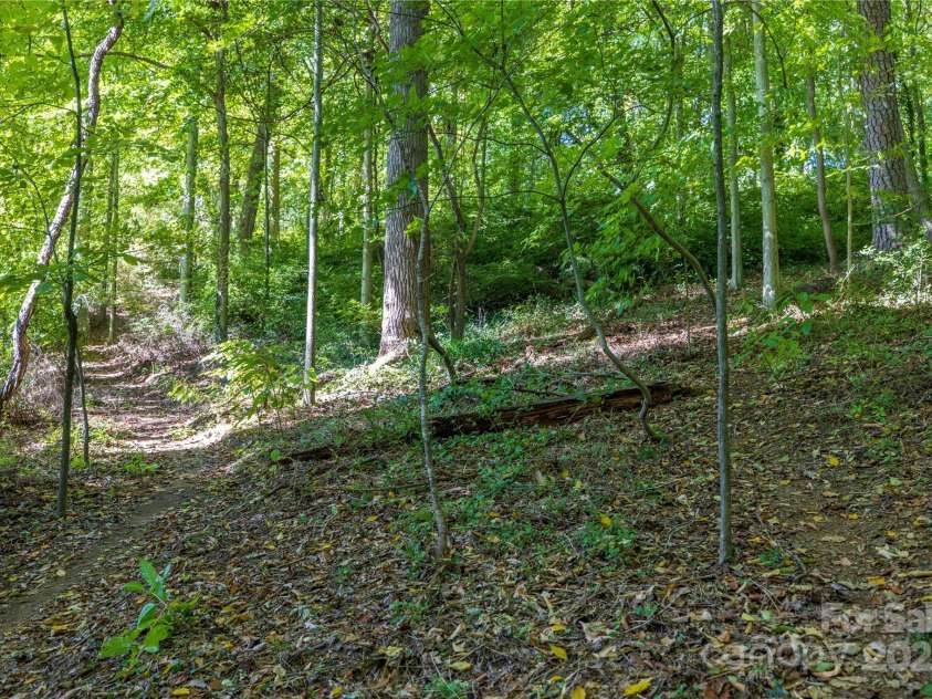 9 Orrinel Way, Asheville, NC 28806.  MLS# CAR4257922, YatesRealty ID 18885. Mature Trees Abound