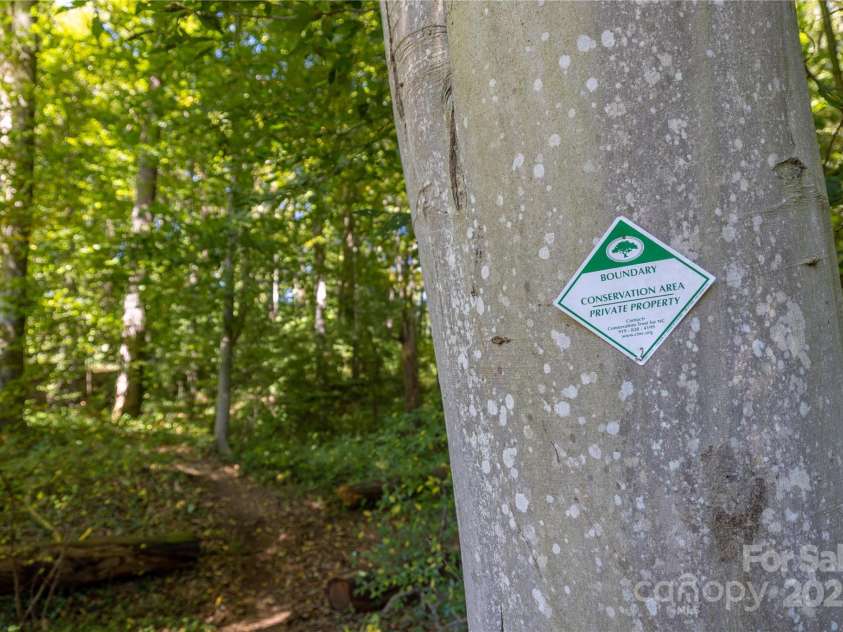 9 Orrinel Way, Asheville, NC 28806.  MLS# CAR4257922, YatesRealty ID 18885. Protected Community Space