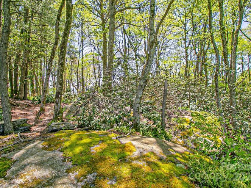 2 Laurel Ledge Way, Fletcher, NC 28732.  MLS# CAR4164145, YatesRealty ID 1891. Beautiful apex lot