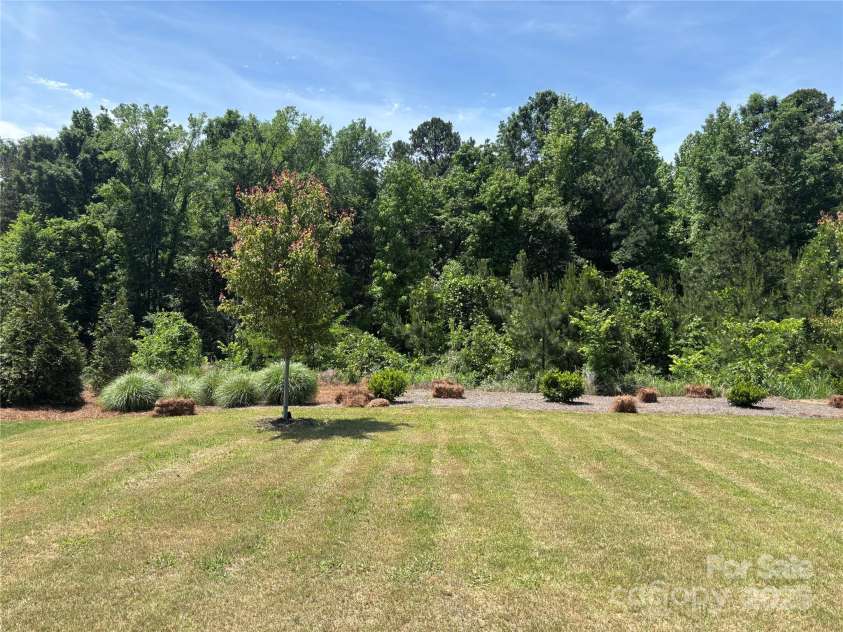 14210 Asbury Park Road, Huntersville, NC 28078.  MLS# CAR4252719, YatesRealty ID 18916. Wooded lot