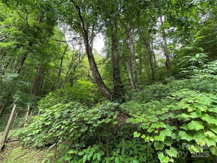 687 Willow Creek Road, Leicester, NC 28748.  MLS# CAR4269664, YatesRealty ID 18921. 