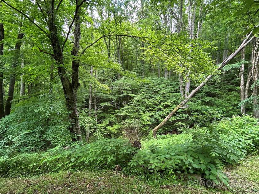 687 Willow Creek Road, Leicester, NC 28748.  MLS# CAR4269664, YatesRealty ID 18921. 