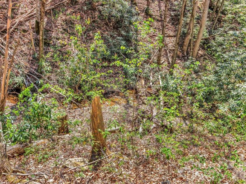 1100 Panther Branch Road, Canton, NC 28716.  MLS# CAR4368884, YatesRealty ID 18922. 