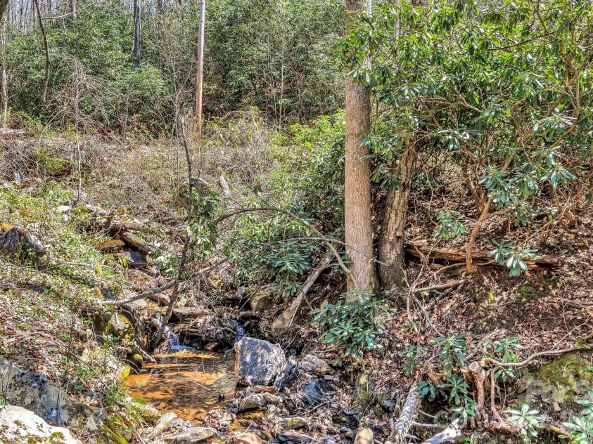 1100 Panther Branch Road, Canton, NC 28716.  MLS# CAR4368884, YatesRealty ID 18922. 