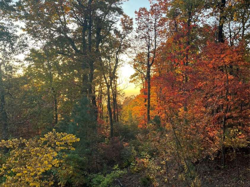 2329 Pinnacle Parkway, Union Mills, NC 28167.  MLS# CAR4250826, YatesRealty ID 18962. Fall colors