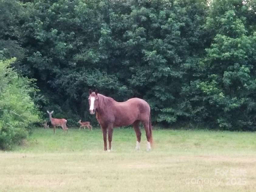 2315 Lanesboro Road, Marshville, NC 28103.  MLS# CAR4259479, YatesRealty ID 18964. 
