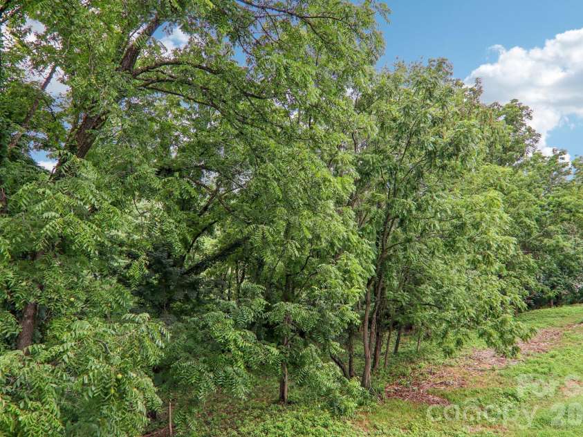 140 Main Street, Mars Hill, NC 28754.  MLS# CAR4375742, YatesRealty ID 18974. Back yard.
