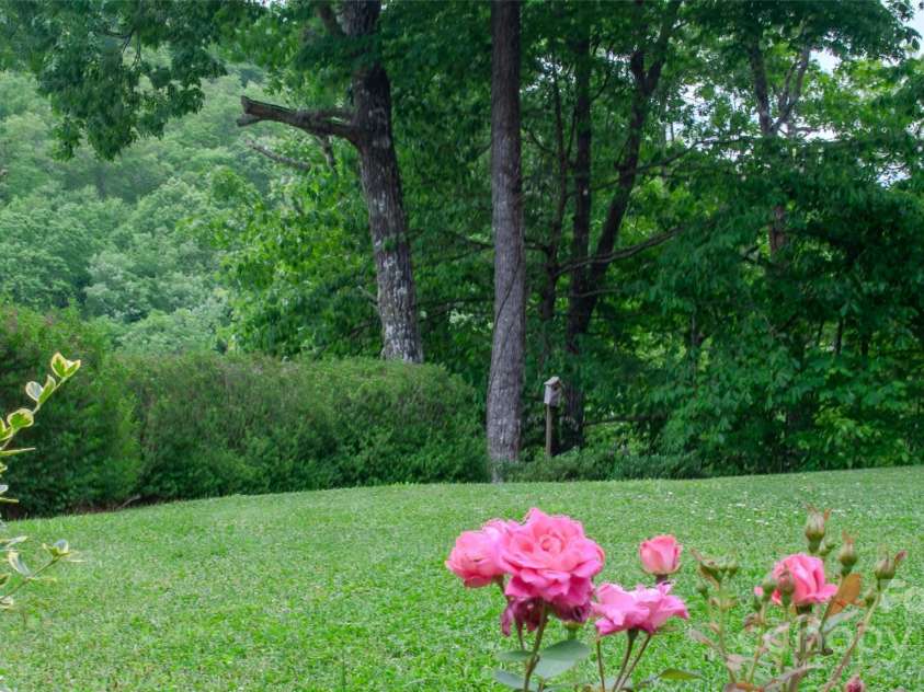 187 Gardeners Cove Road, Whittier, NC 28789.  MLS# CAR4231313, YatesRealty ID 18982. Yard