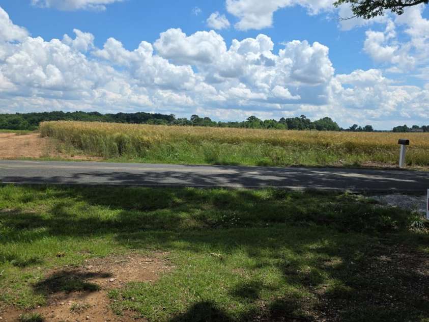 6006 White Store Road, Marshville, NC 28103.  MLS# CAR4256474, YatesRealty ID 18986. Farmland view across the street