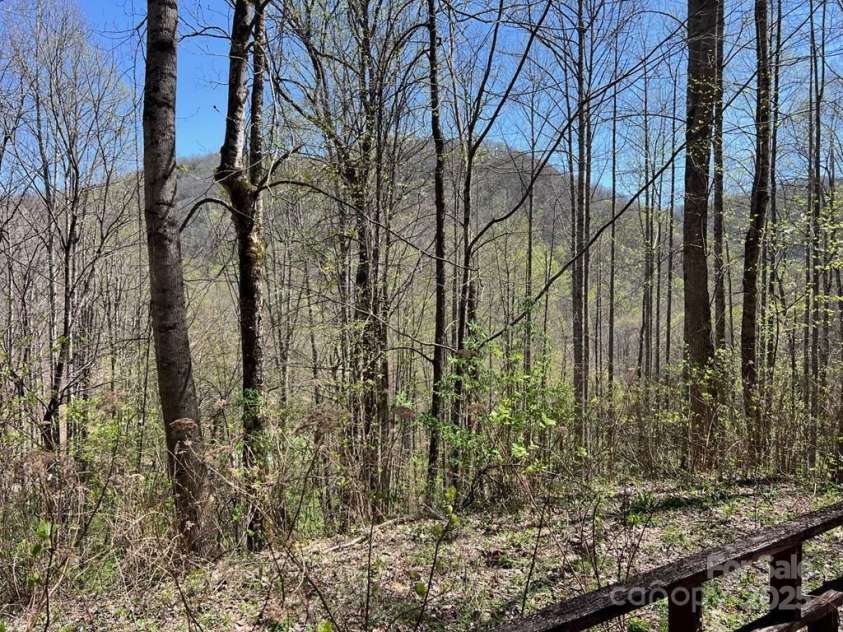 239 Laurel Drive, Whittier, NC 28789.  MLS# CAR4264544, YatesRealty ID 18999. 