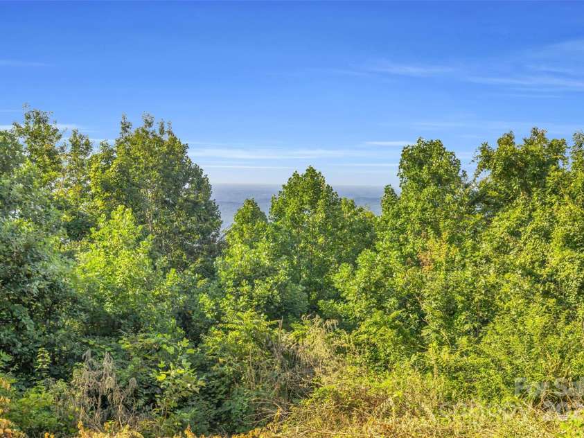 3605 Skyuka Mountain Road, Columbus, NC 28722.  MLS# CAR4289447, YatesRealty ID 1901. 