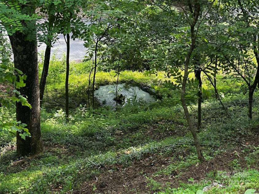 193 Green Cove Road, Bakersville, NC 28705.  MLS# CAR4267864, YatesRealty ID 19065. 