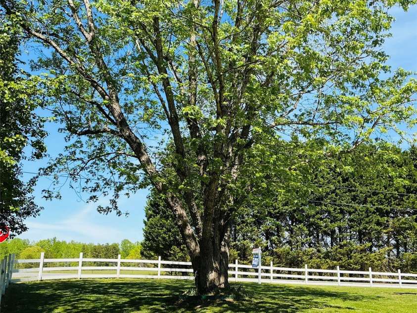 5226 Old Plank Road, Iron Station, NC 28080.  MLS# CAR4365700, YatesRealty ID 19087. Stunning trees grace this property