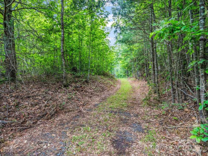 133 Pennwood Lane, Flat Rock, NC 28731.  MLS# CAR4268654, YatesRealty ID 19101. Privacy! Privacy! Privacy! Yet so close to town.