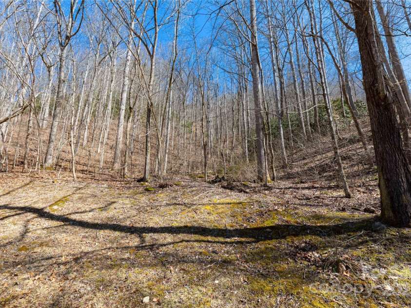 3601 Conleys Creek Road, Whittier, NC 28789.  MLS# CAR4231007, YatesRealty ID 1911. Yard