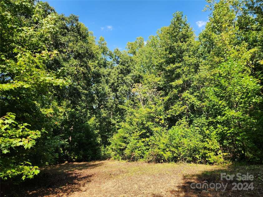 207 Southwinds Drive, Rutherfordton, NC 28139.  MLS# CAR4182508, YatesRealty ID 1914. 
