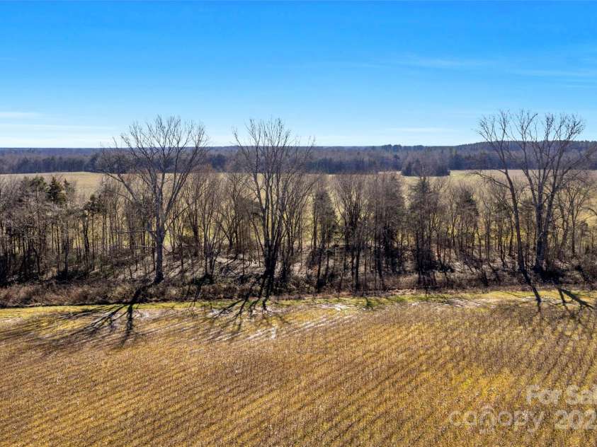 0000 Milling Road, Rock Hill, SC 29730.  MLS# CAR4268918, YatesRealty ID 19154. Creek and hardwoods on the southern border