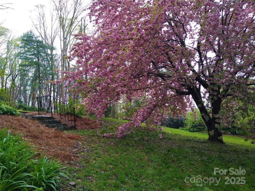 242 Birch Lane, Arden, NC 28704.  MLS# CAR4249293, YatesRealty ID 19164. Amazing Cherry tree!