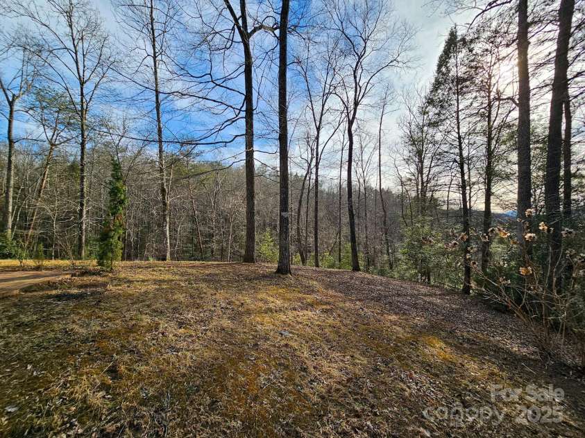 474 Cedar Creek Road, Lake Lure, NC 28746.  MLS# CAR4225177, YatesRealty ID 1919. 