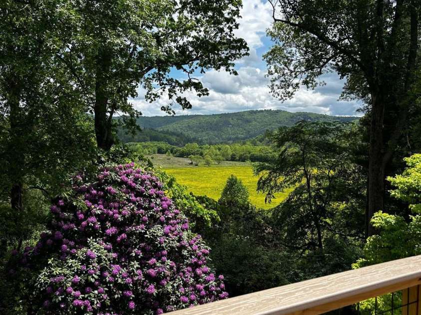 181 Pleasant Hill Drive, Brevard, NC 28712.  MLS# CAR4247052, YatesRealty ID 19238. This could be your view..