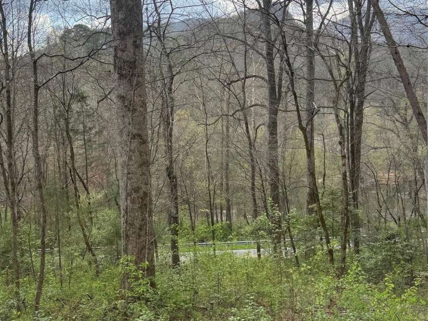 315 River Road, Sylva, NC 28779.  MLS# CAR4365027, YatesRealty ID 19267. 