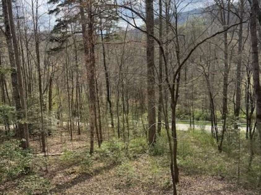 315 River Road, Sylva, NC 28779.  MLS# CAR4365027, YatesRealty ID 19267. Wooded front yard with seasonal views.