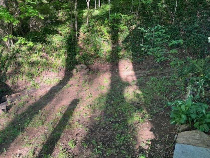 50 Wabash Drive, Sylva, NC 28779.  MLS# CAR4377867, YatesRealty ID 19288. 