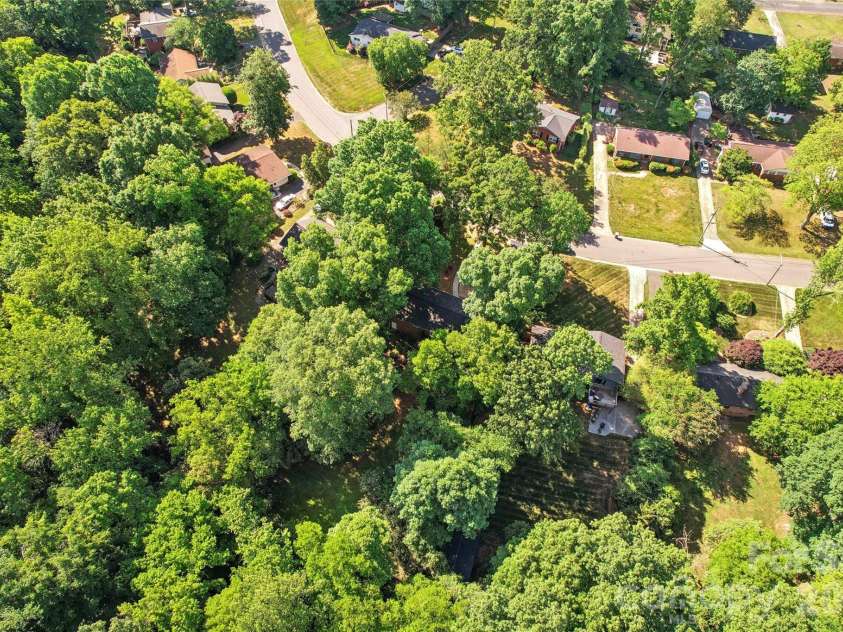 2227 Wensley Drive, Charlotte, NC 28210.  MLS# CAR4376969, YatesRealty ID 19311. Thick, mature tree canopy