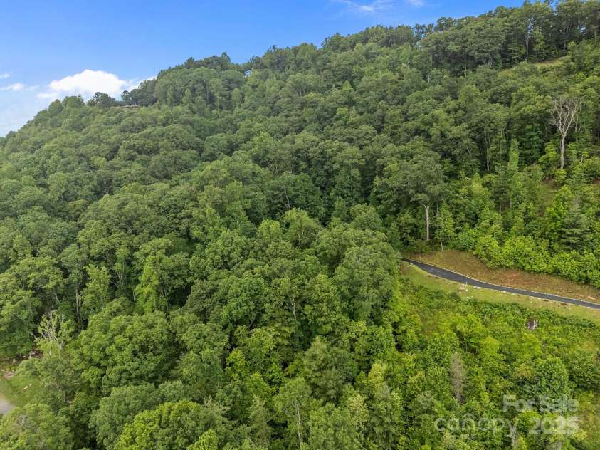 w12 Curtain Bluff Bluff, Hendersonville, NC 28791.  MLS# CAR4270993, YatesRealty ID 19352. 