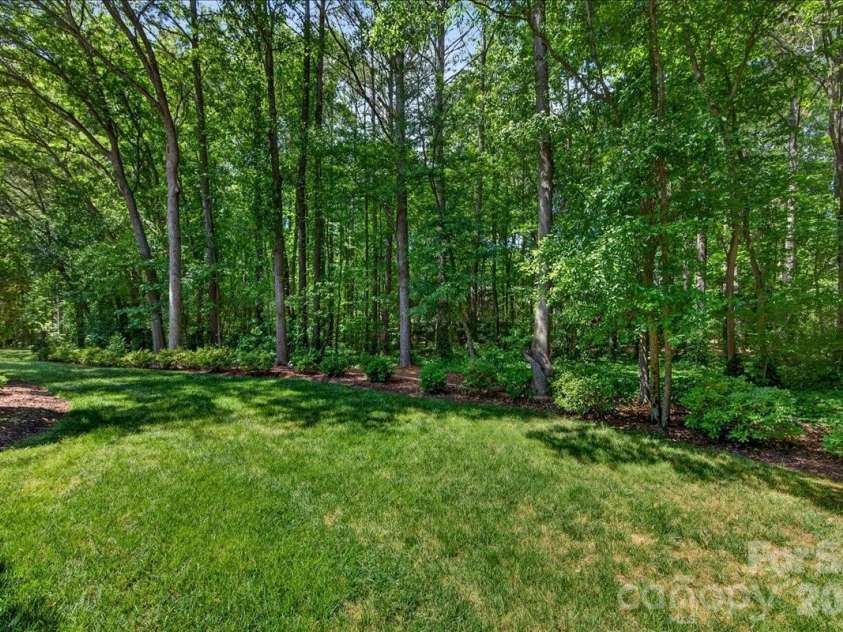 4365 Enchantment Cove Lane, Charlotte, NC 28216.  MLS# CAR4374715, YatesRealty ID 19356. Private Backyard
