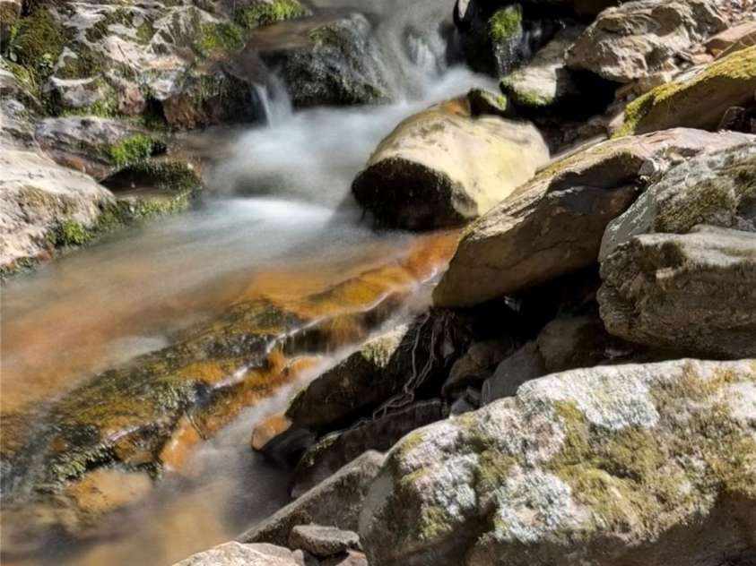 492 Paint Fork Road, Barnardsville, NC 28709.  MLS# CAR4239346, YatesRealty ID 19369. Beautiful Stream