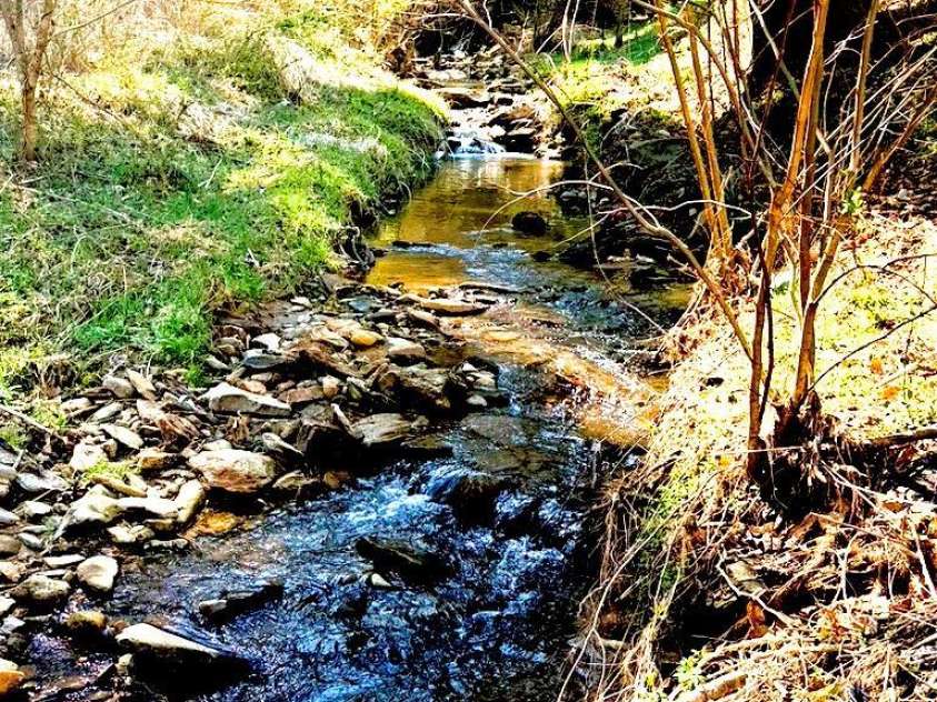 492 Paint Fork Road, Barnardsville, NC 28709.  MLS# CAR4239346, YatesRealty ID 19369. Year Round Stream