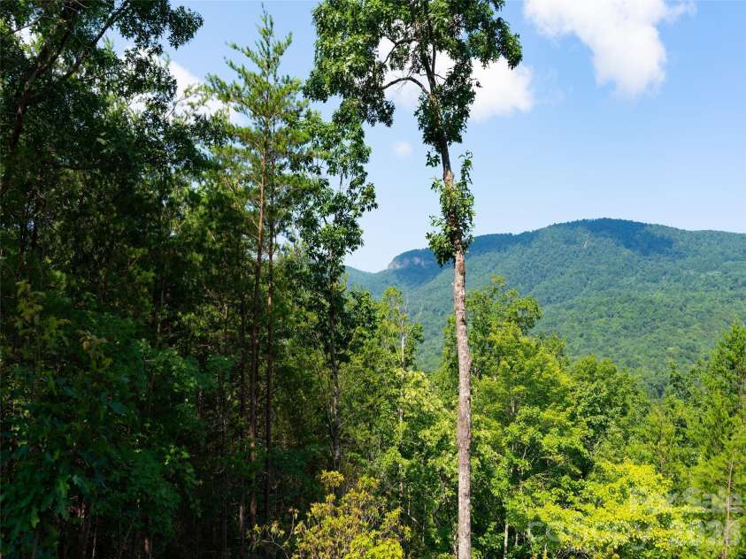 40 Deep Gap Farm Road, Mill Spring, NC 28756.  MLS# CAR4267257, YatesRealty ID 1937. 