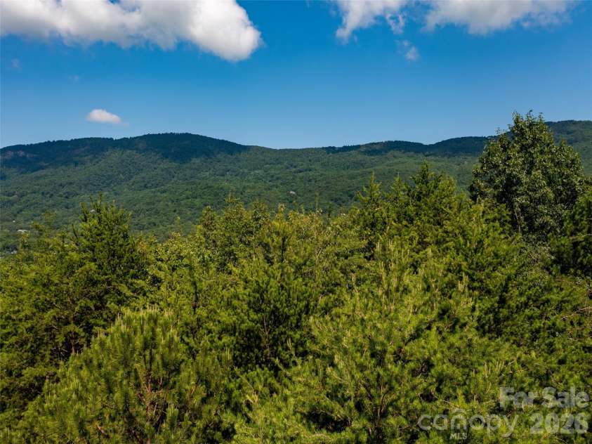 40 Deep Gap Farm Road, Mill Spring, NC 28756.  MLS# CAR4267257, YatesRealty ID 1937. 