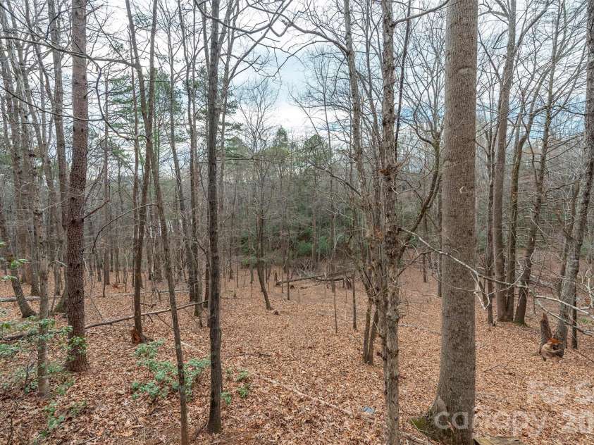 145 Flynn Court, Lake Lure, NC 28746.  MLS# CAR4345198, YatesRealty ID 1938. 