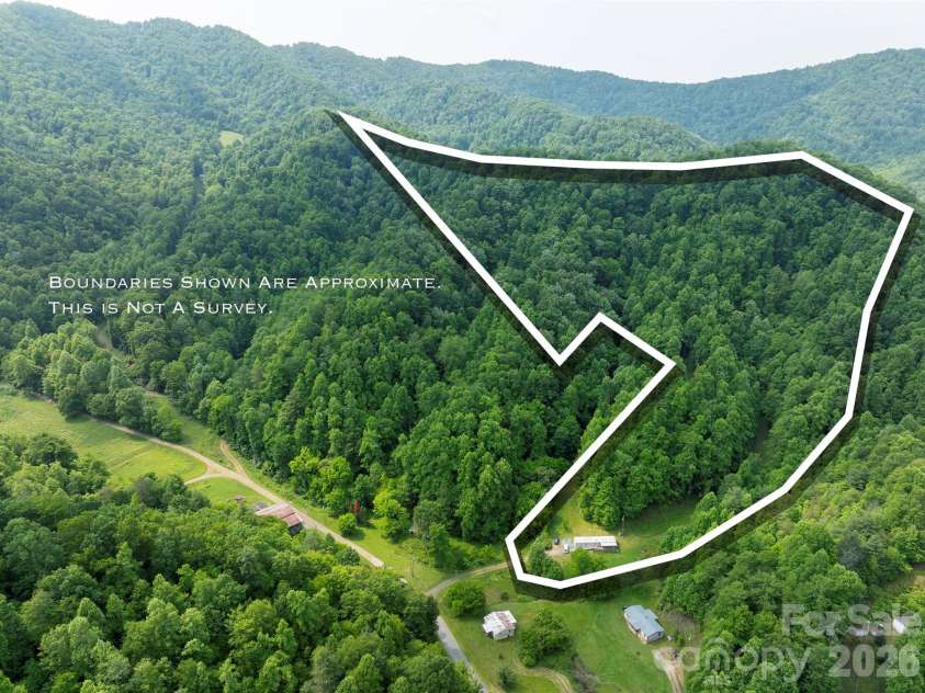 320 Board Tree Road, Marshall, NC 28753.  MLS# CAR4266213, YatesRealty ID 19383. Approximate boundary of property 