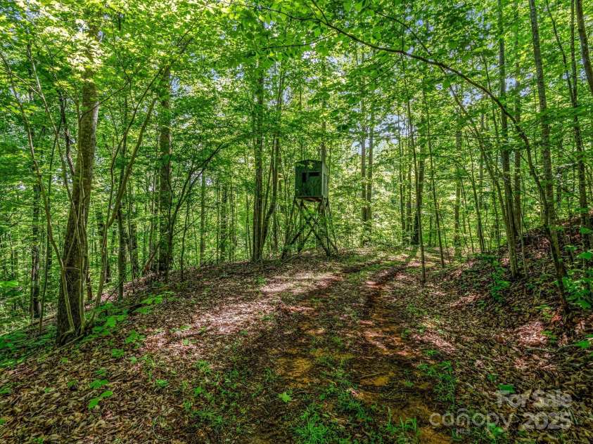 980 Mountain Forest Drive, Union Mills, NC 28167.  MLS# CAR4249010, YatesRealty ID 19389. 