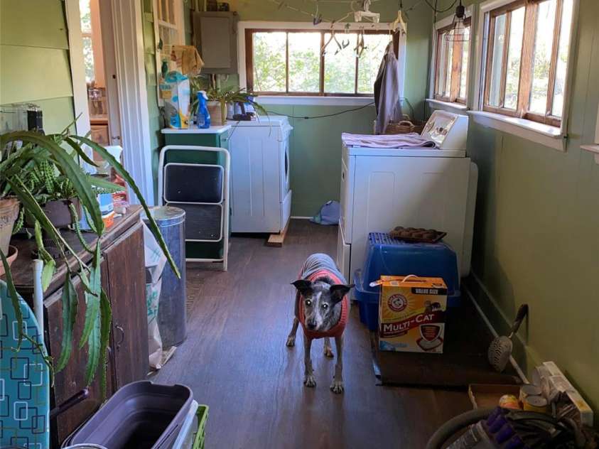 24 Ridge Avenue, Asheville, NC 28803.  MLS# CAR4321438, YatesRealty ID 1940. 