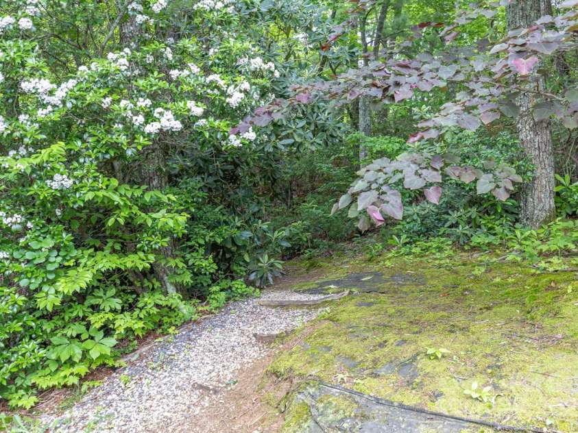 6 Grouse Terrace, Fairview, NC 28730.  MLS# CAR4269156, YatesRealty ID 19403. Hike anyone?