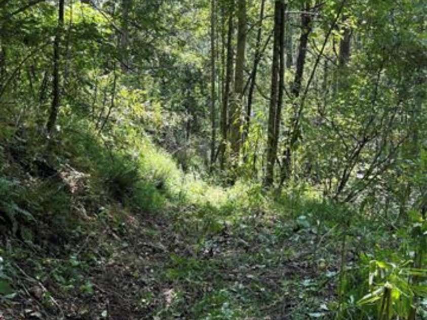 108 Lanning Road, Clyde, NC 28721.  MLS# CAR4294325, YatesRealty ID 1941. 