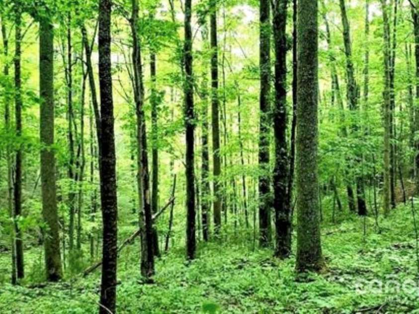 108 Lanning Road, Clyde, NC 28721.  MLS# CAR4294325, YatesRealty ID 1941. 